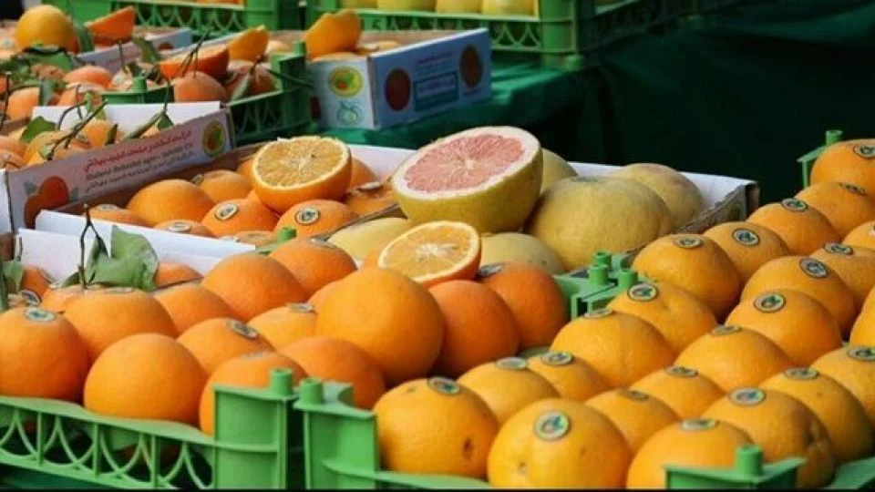 رژیم غذایی رژیم غذایی