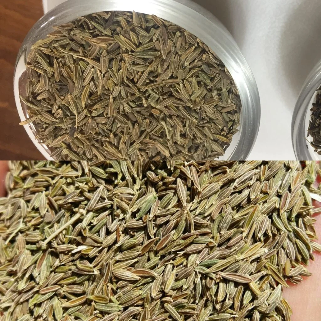 پزشکی