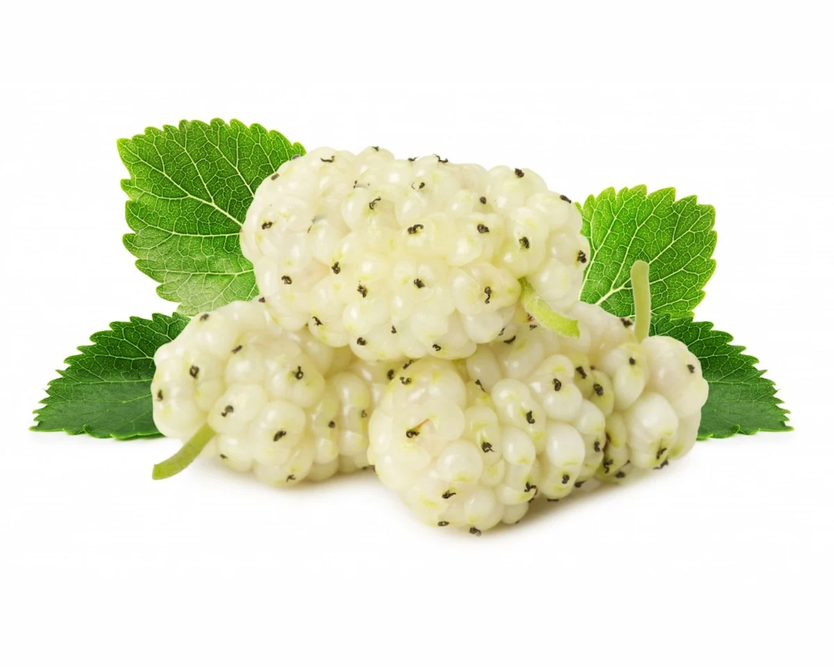 پزشکی