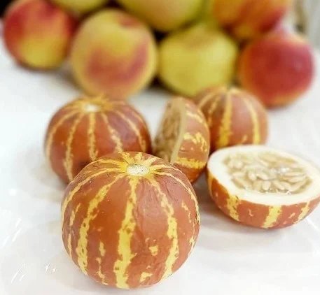 پزشکی