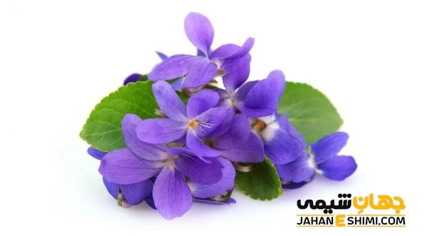 روغن