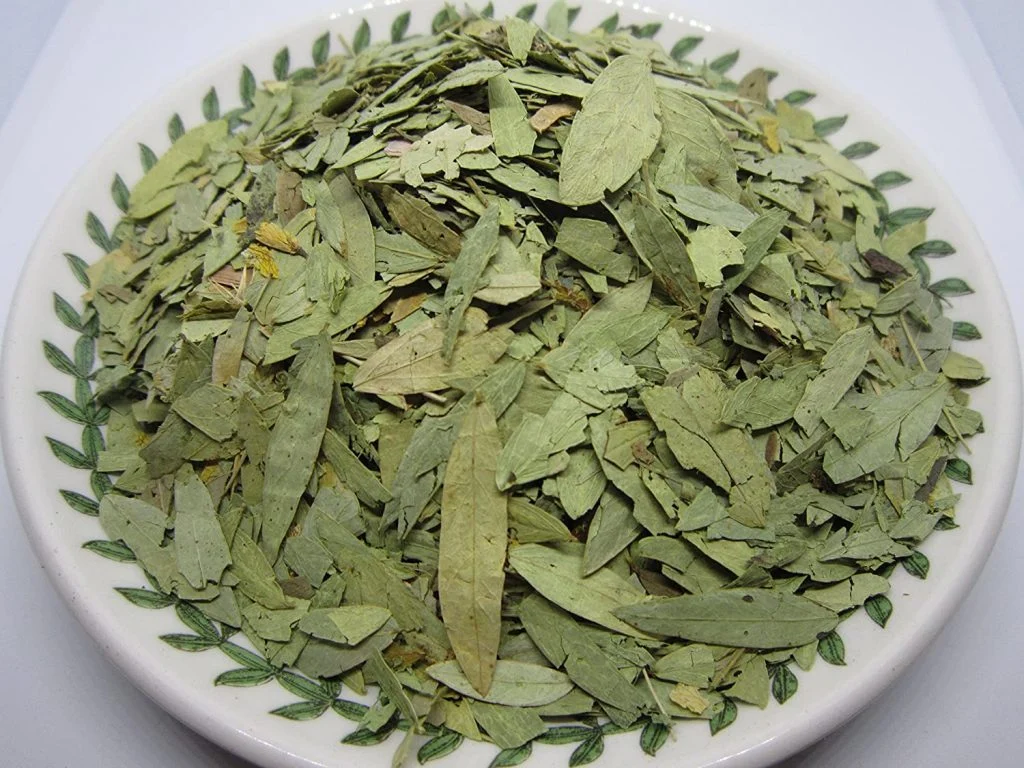 پزشکی