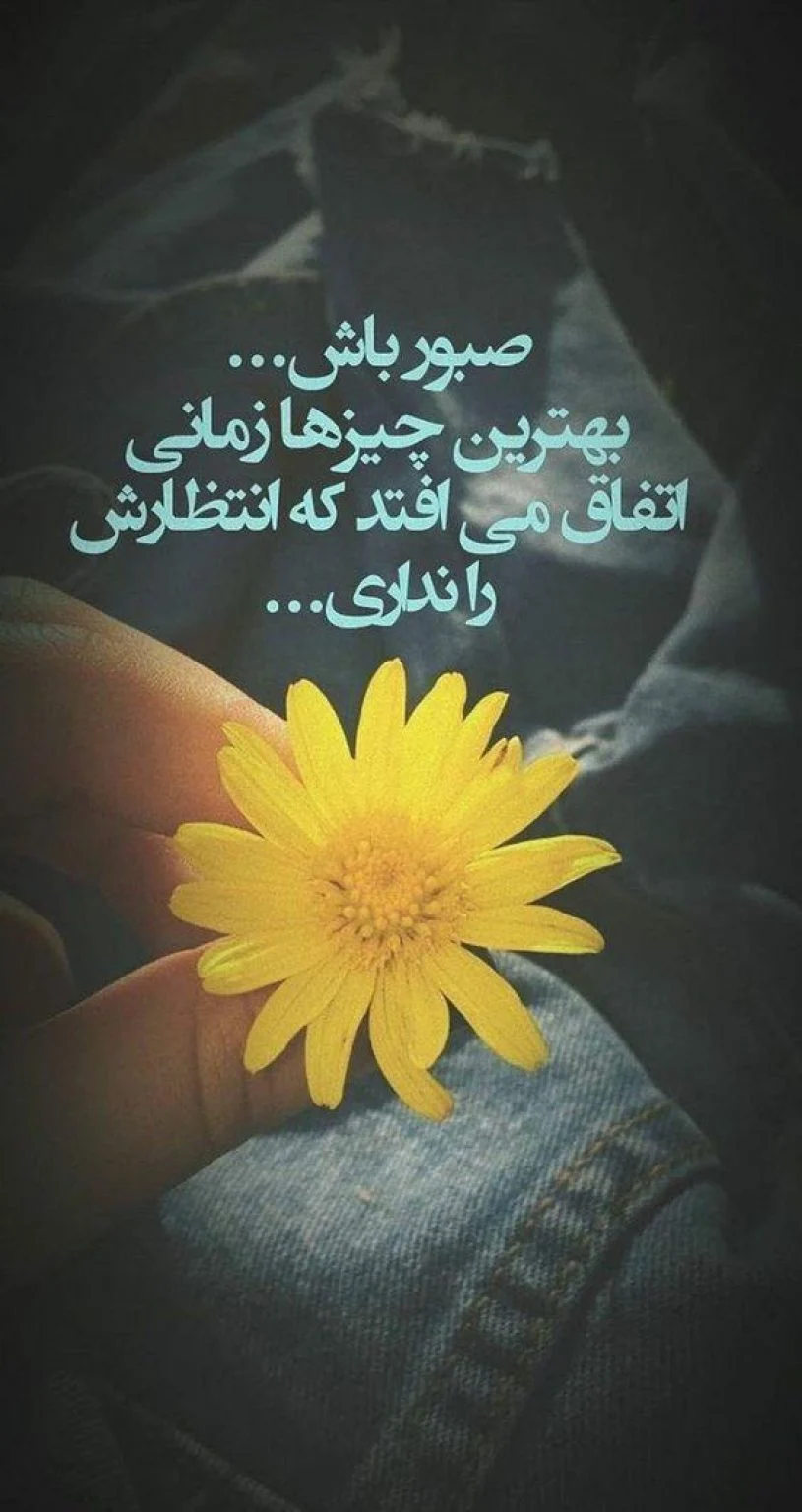 سئو و طراحی سایت