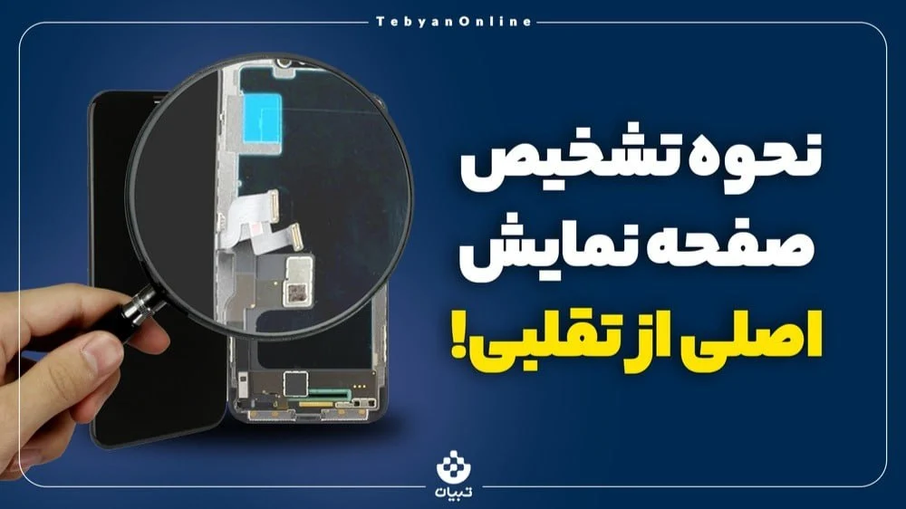 تلویزیون