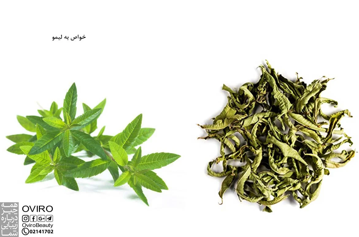 رژیم غذایی رژیم غذایی