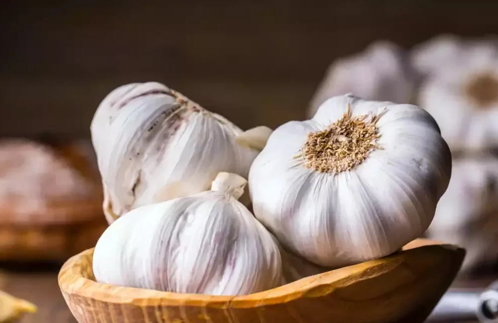 رژیم غذایی رژیم غذایی