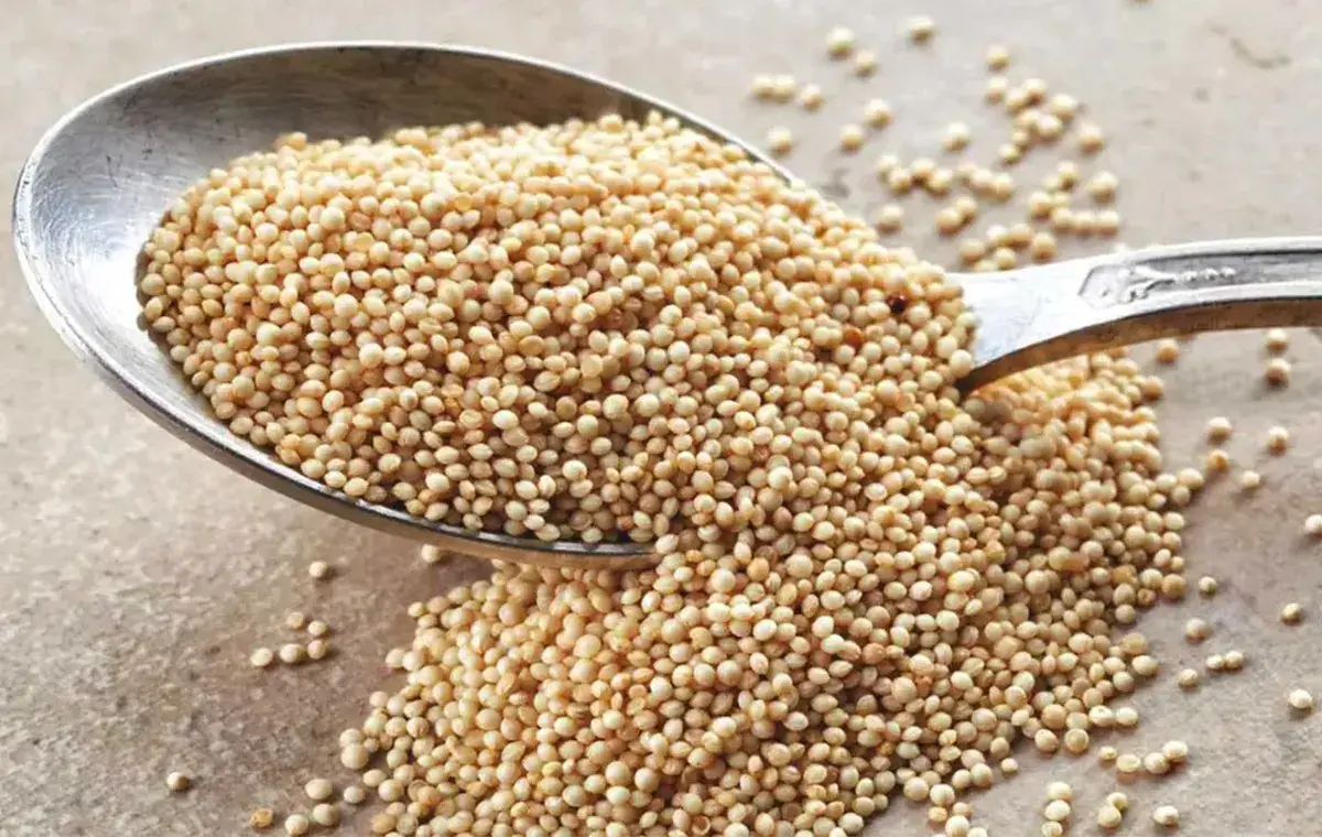 رژیم غذایی