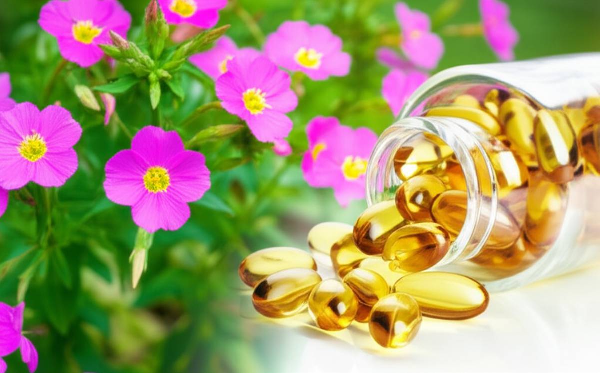 داروخانه داروخانه